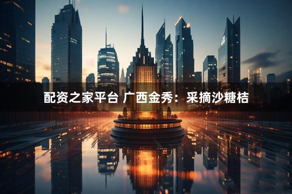 配资之家平台 广西金秀：采摘沙糖桔