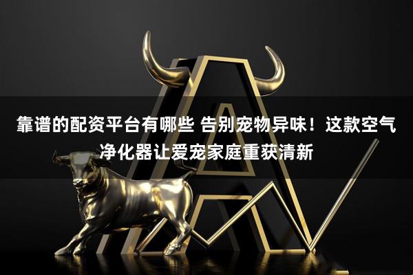 靠谱的配资平台有哪些 告别宠物异味！这款空气净化器让爱宠家庭重获清新