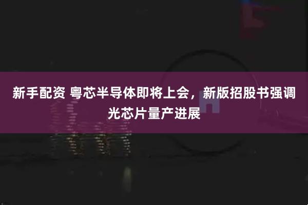 新手配资 粤芯半导体即将上会，新版招股书强调光芯片量产进展